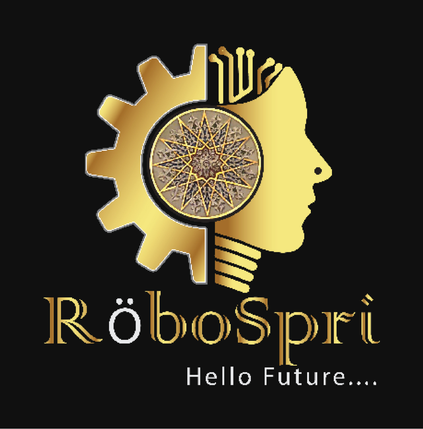 Robospri Solution logo